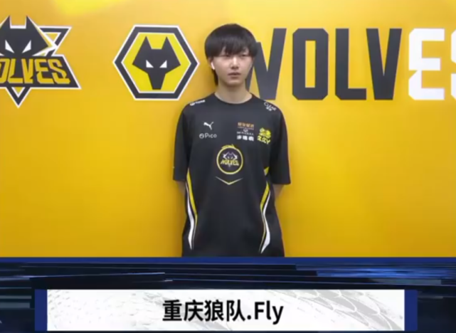 VIP运营 VIP运营
